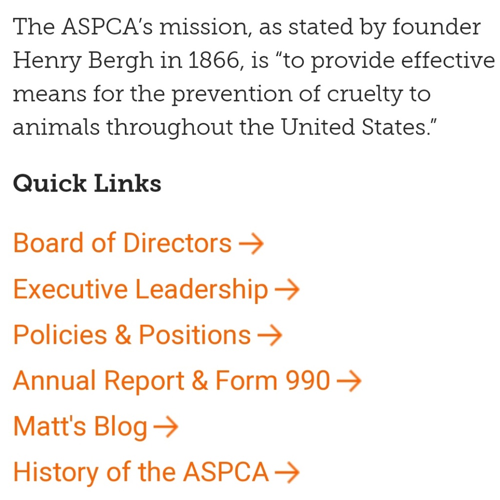 ASPCA Finding Forever Homes 🧡 - Picture 4 of 5